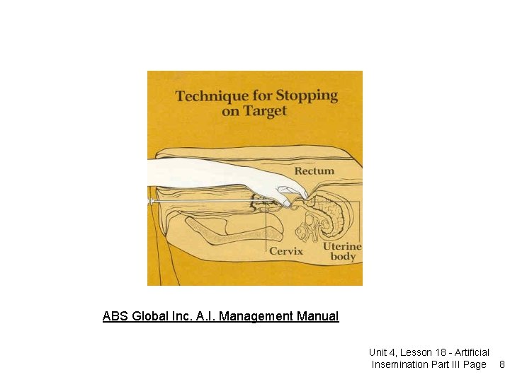 ABS Global Inc. A. I. Management Manual Unit 4, Lesson 18 - Artificial Insemination