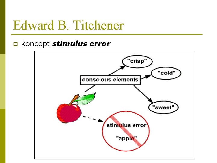 Edward B. Titchener p koncept stimulus error Edward B. Titchener p koncept stimulus error