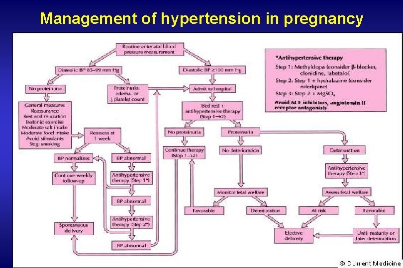 Management of hypertension in pregnancy 