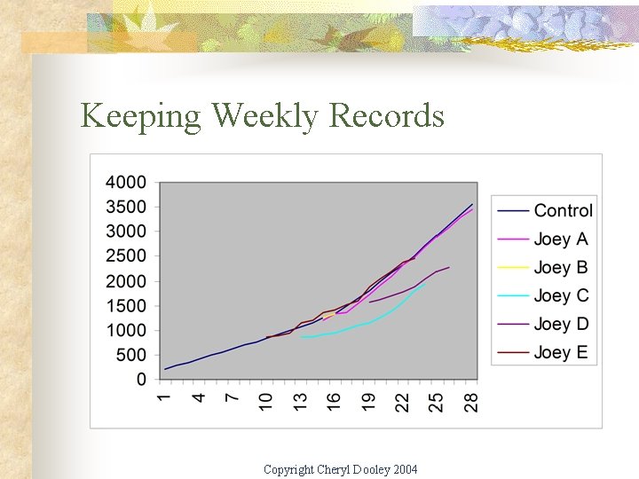 Keeping Weekly Records Copyright Cheryl Dooley 2004 