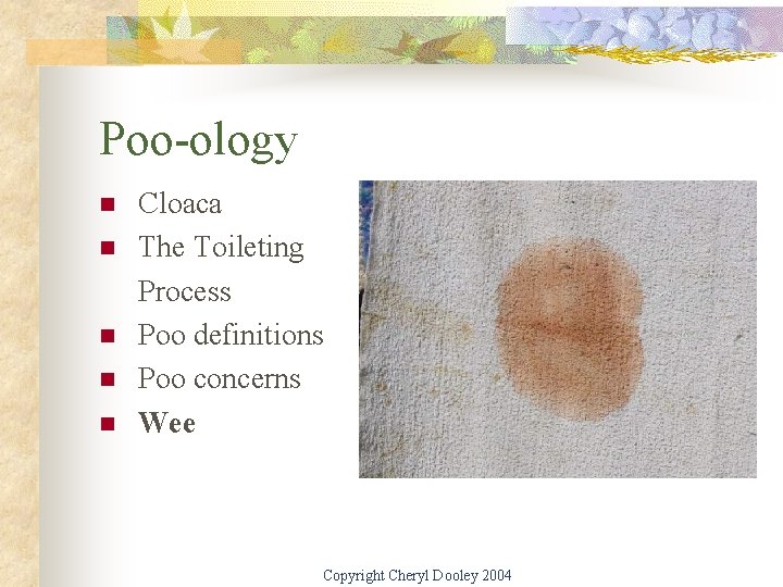 Poo-ology n n n Cloaca The Toileting Process Poo definitions Poo concerns Wee Copyright
