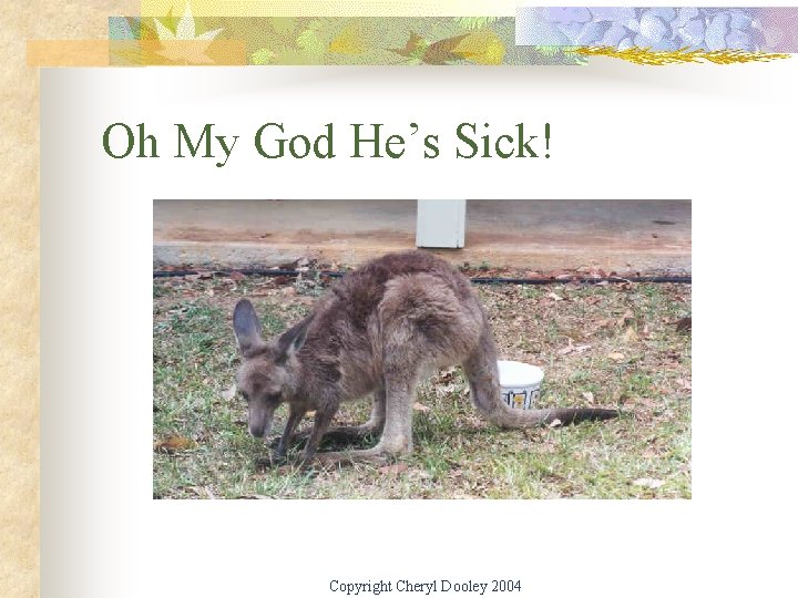 Oh My God He’s Sick! Copyright Cheryl Dooley 2004 