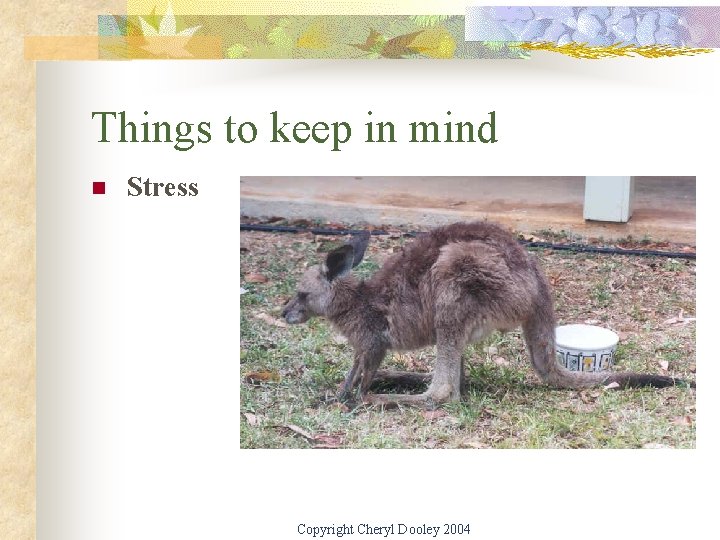 Things to keep in mind n Stress Copyright Cheryl Dooley 2004 