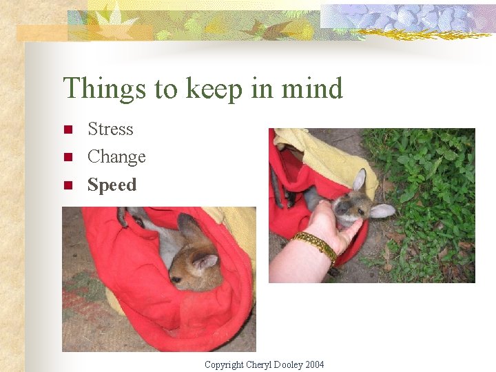 Things to keep in mind n n n Stress Change Speed Copyright Cheryl Dooley