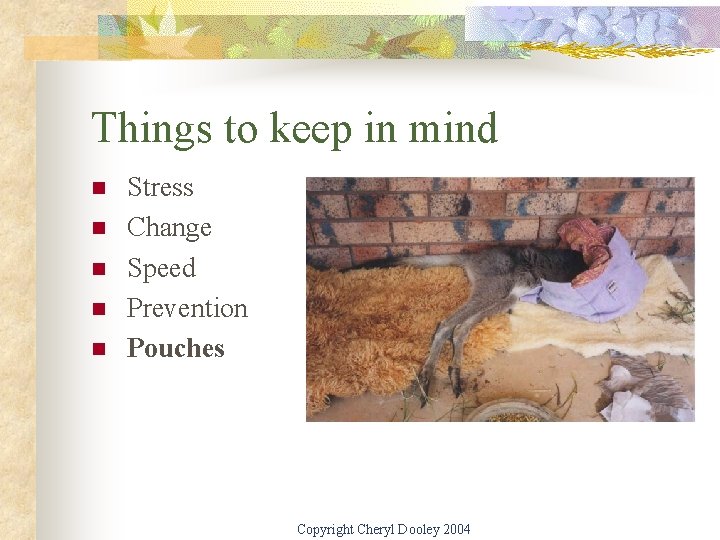 Things to keep in mind n n n Stress Change Speed Prevention Pouches Copyright