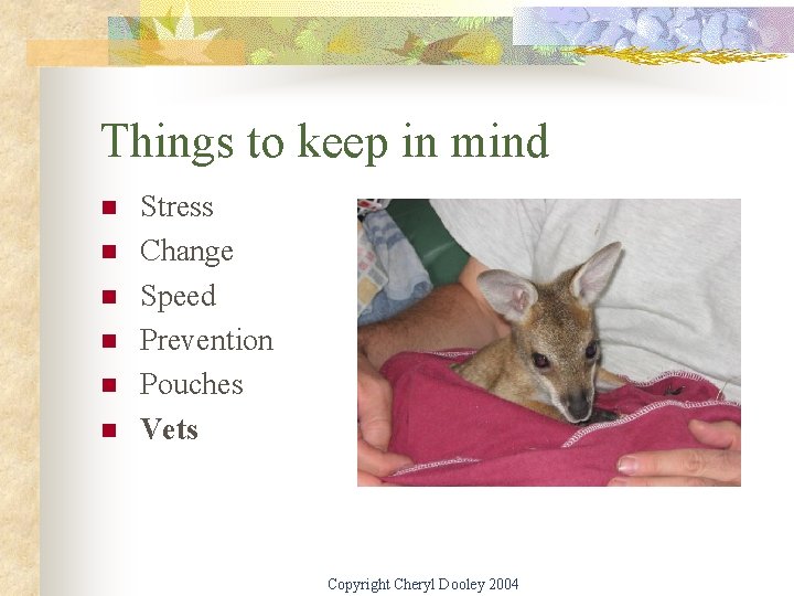 Things to keep in mind n n n Stress Change Speed Prevention Pouches Vets