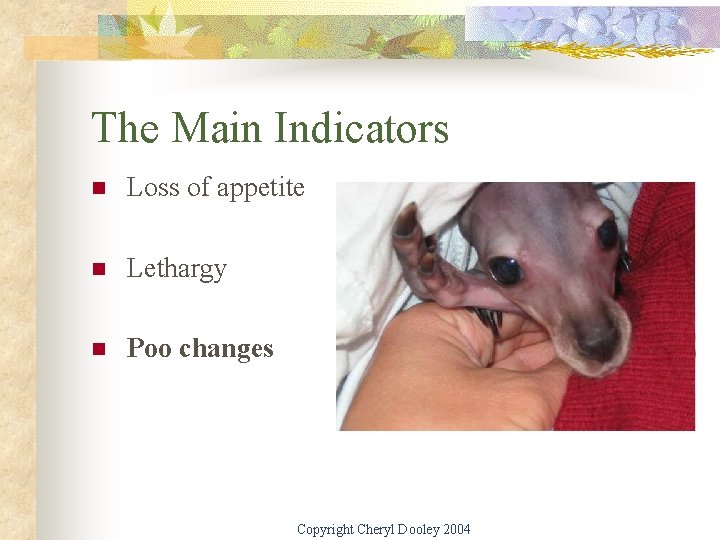 The Main Indicators n Loss of appetite n Lethargy n Poo changes Copyright Cheryl