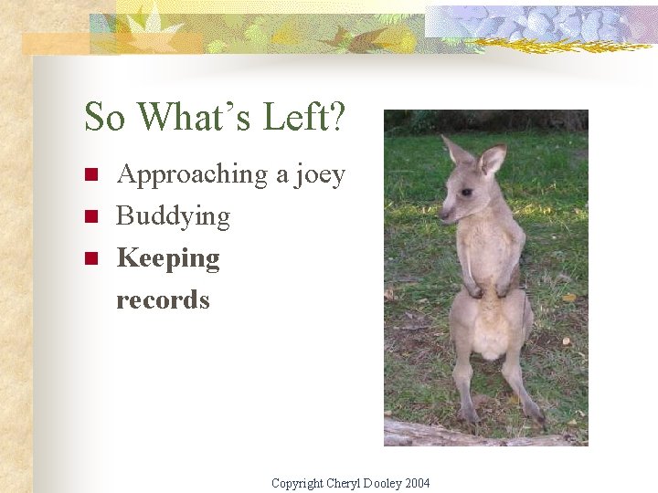 So What’s Left? n n n Approaching a joey Buddying Keeping records Copyright Cheryl