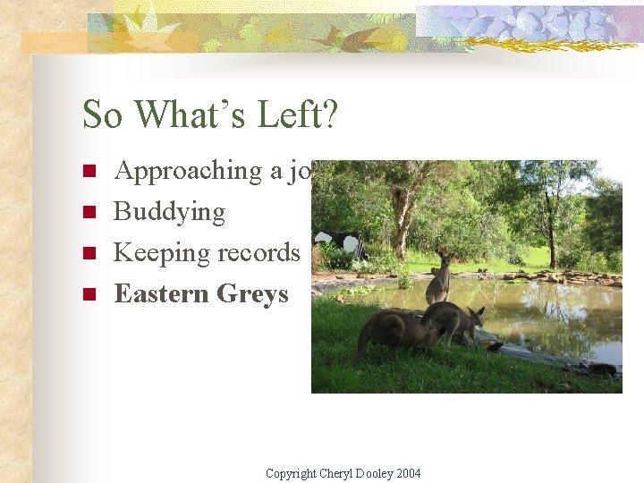 So What’s Left? n n Approaching a joey Buddying Keeping records Eastern Greys Copyright