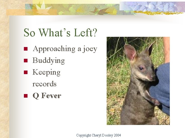 So What’s Left? n n Approaching a joey Buddying Keeping records Q Fever Copyright