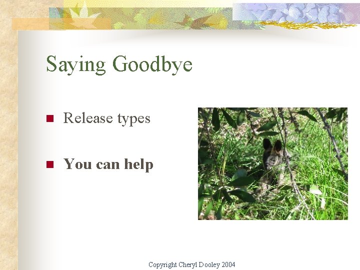 Saying Goodbye n Release types n You can help Copyright Cheryl Dooley 2004 