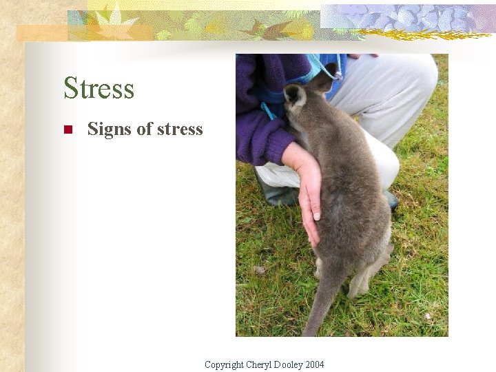 Stress n Signs of stress Copyright Cheryl Dooley 2004 