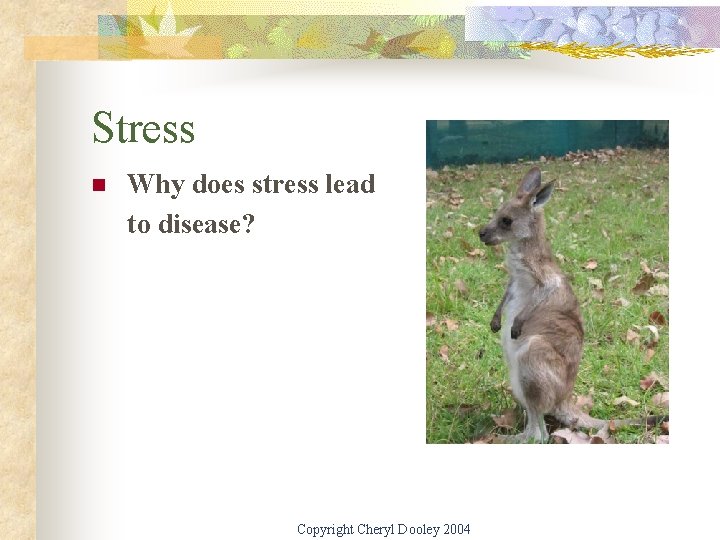 Stress n Why does stress lead to disease? Copyright Cheryl Dooley 2004 