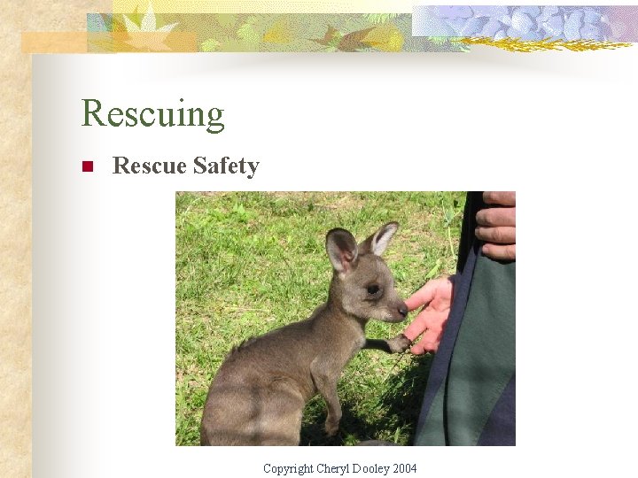 Rescuing n Rescue Safety Copyright Cheryl Dooley 2004 