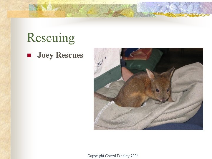 Rescuing n Joey Rescues Copyright Cheryl Dooley 2004 