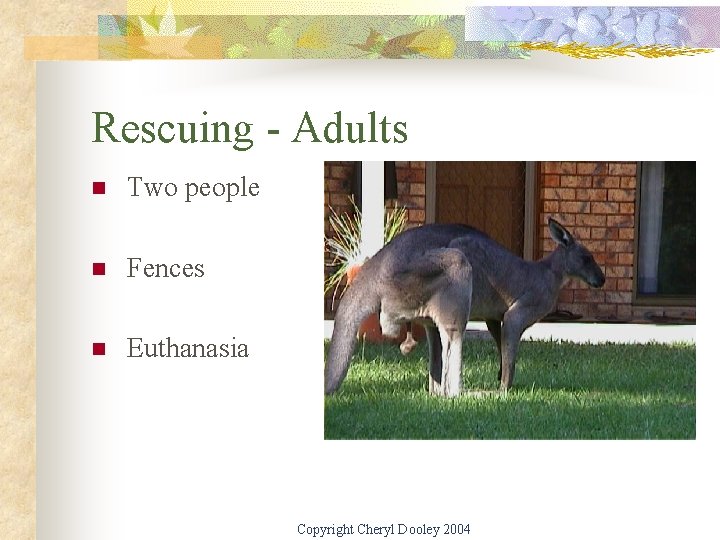 Rescuing - Adults n Two people n Fences n Euthanasia Copyright Cheryl Dooley 2004