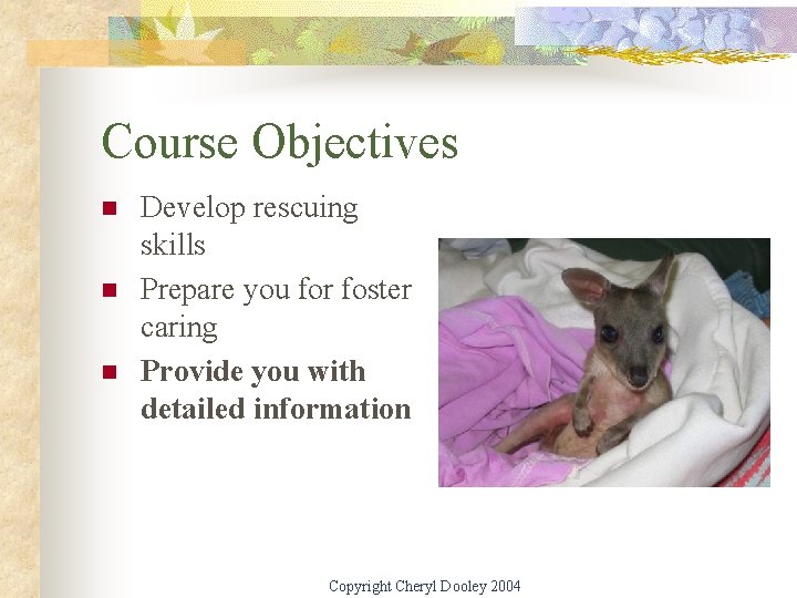 Course Objectives n n n Develop rescuing skills Prepare you for foster caring Provide