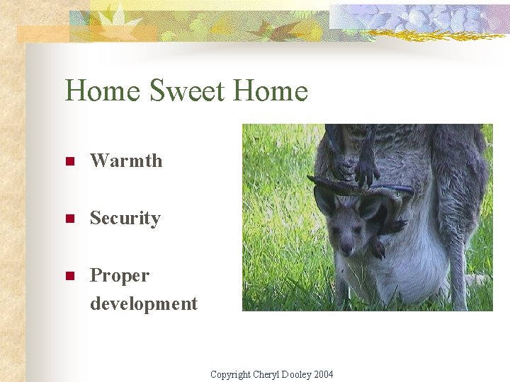 Home Sweet Home n Warmth n Security n Proper development Copyright Cheryl Dooley 2004