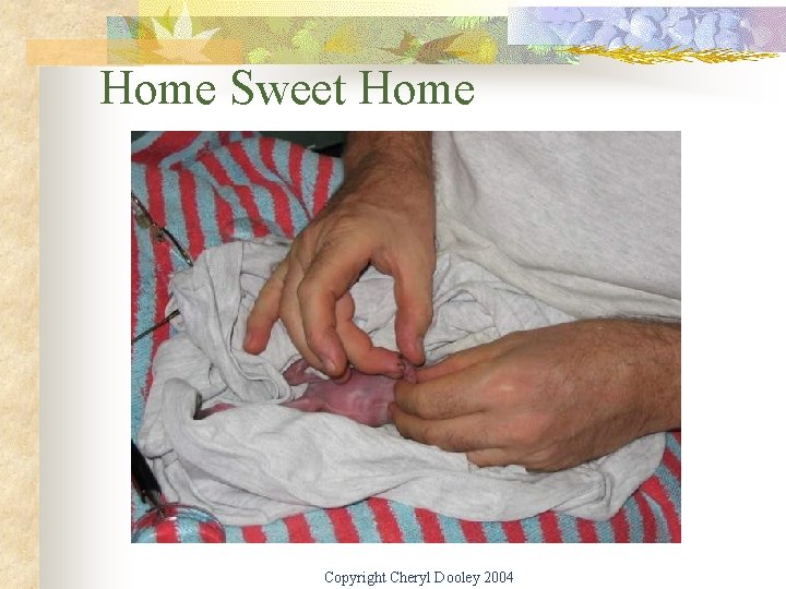 Home Sweet Home Copyright Cheryl Dooley 2004 