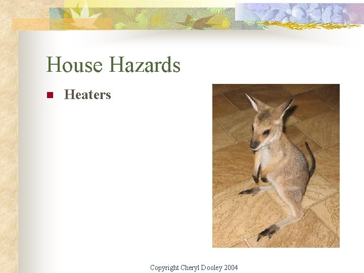 House Hazards n Heaters Copyright Cheryl Dooley 2004 
