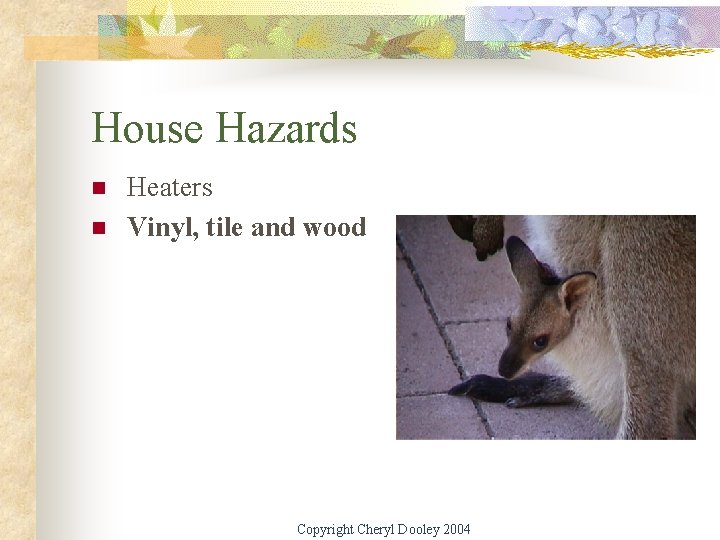 House Hazards n n Heaters Vinyl, tile and wood Copyright Cheryl Dooley 2004 