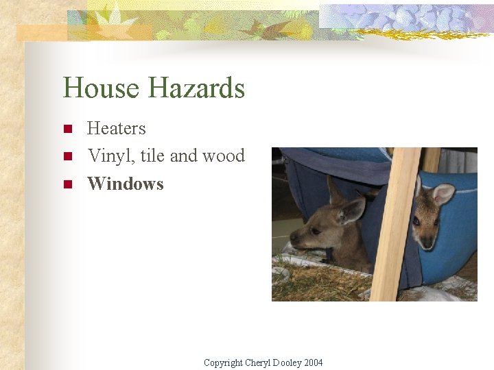 House Hazards n n n Heaters Vinyl, tile and wood Windows Copyright Cheryl Dooley