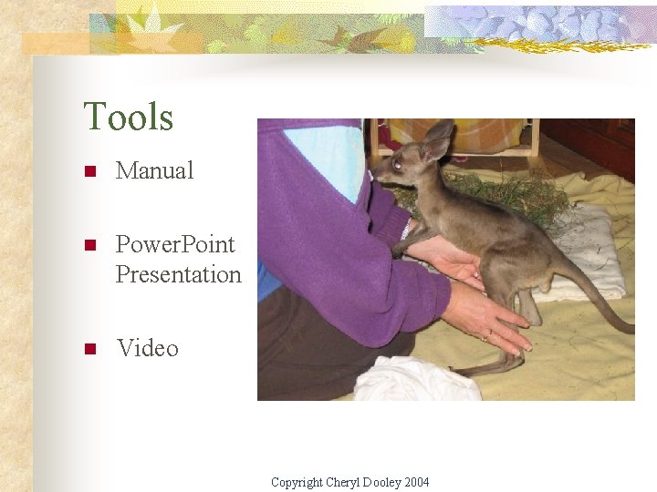 Tools n Manual n Power. Point Presentation n Video Copyright Cheryl Dooley 2004 