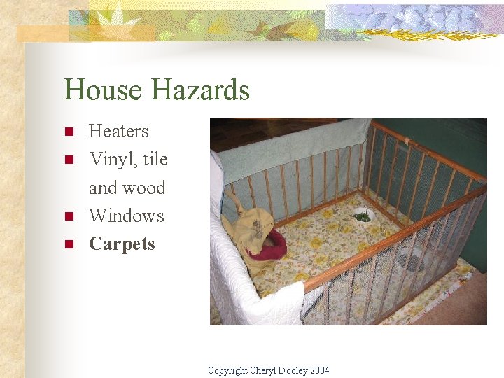 House Hazards n n Heaters Vinyl, tile and wood Windows Carpets Copyright Cheryl Dooley