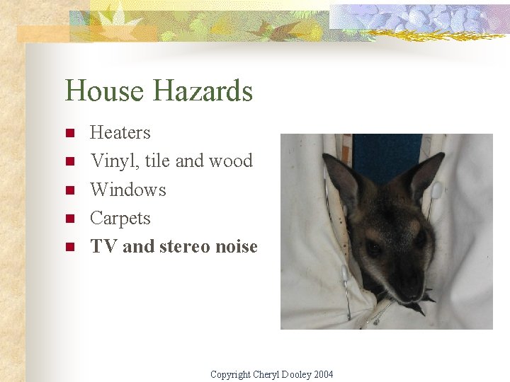 House Hazards n n n Heaters Vinyl, tile and wood Windows Carpets TV and