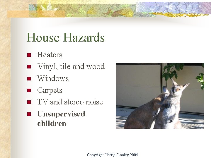 House Hazards n n n Heaters Vinyl, tile and wood Windows Carpets TV and