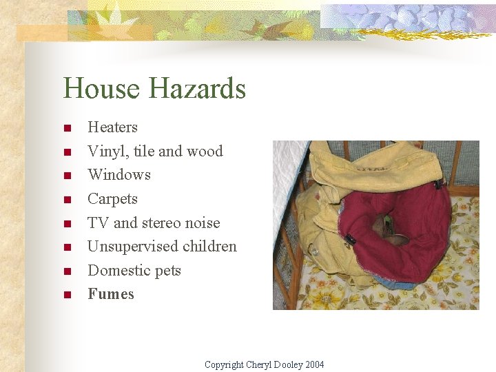 House Hazards n n n n Heaters Vinyl, tile and wood Windows Carpets TV