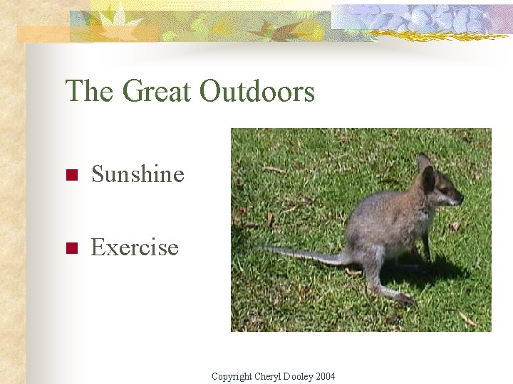 The Great Outdoors n Sunshine n Exercise Copyright Cheryl Dooley 2004 