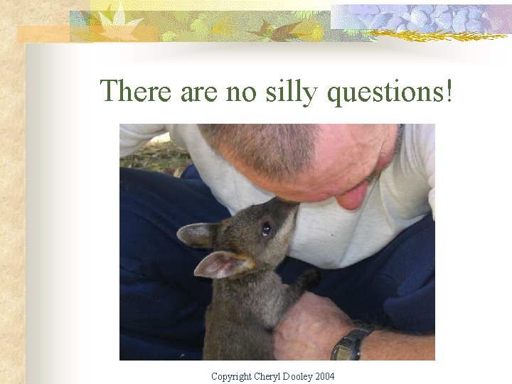 There are no silly questions! Copyright Cheryl Dooley 2004 