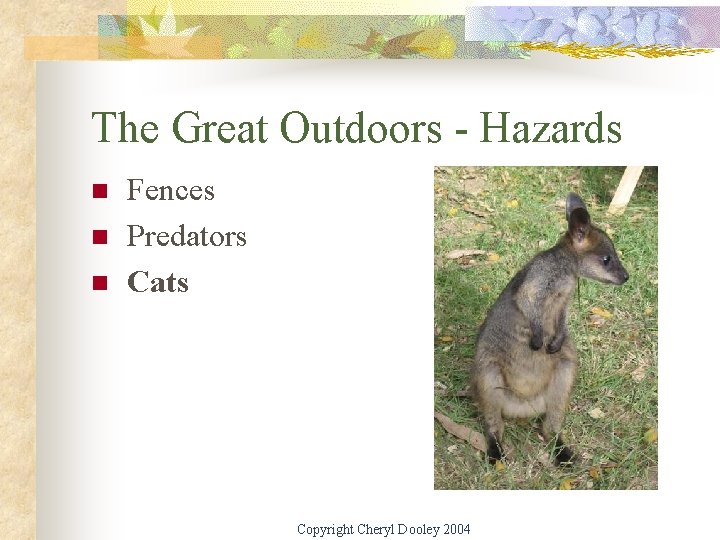 The Great Outdoors - Hazards n n n Fences Predators Cats Copyright Cheryl Dooley