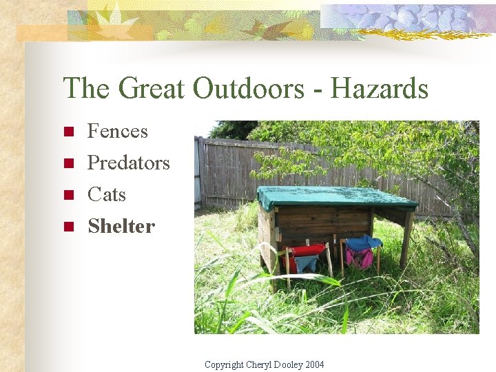 The Great Outdoors - Hazards n n Fences Predators Cats Shelter Copyright Cheryl Dooley