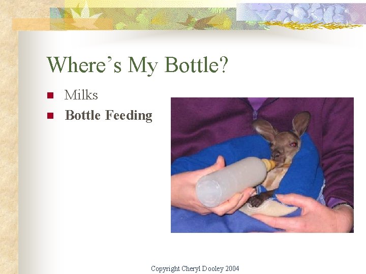 Where’s My Bottle? n n Milks Bottle Feeding Copyright Cheryl Dooley 2004 