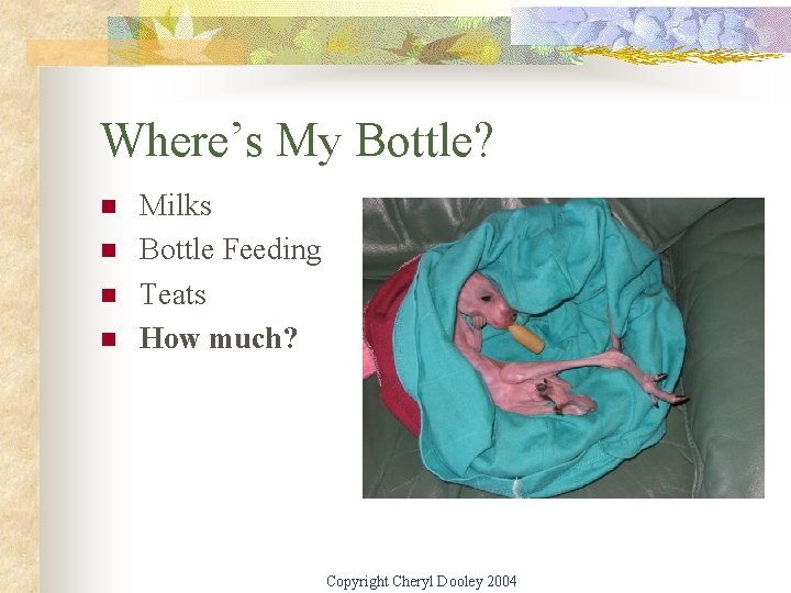 Where’s My Bottle? n n Milks Bottle Feeding Teats How much? Copyright Cheryl Dooley