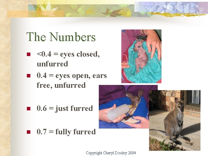 The Numbers n n <0. 4 = eyes closed, unfurred 0. 4 = eyes