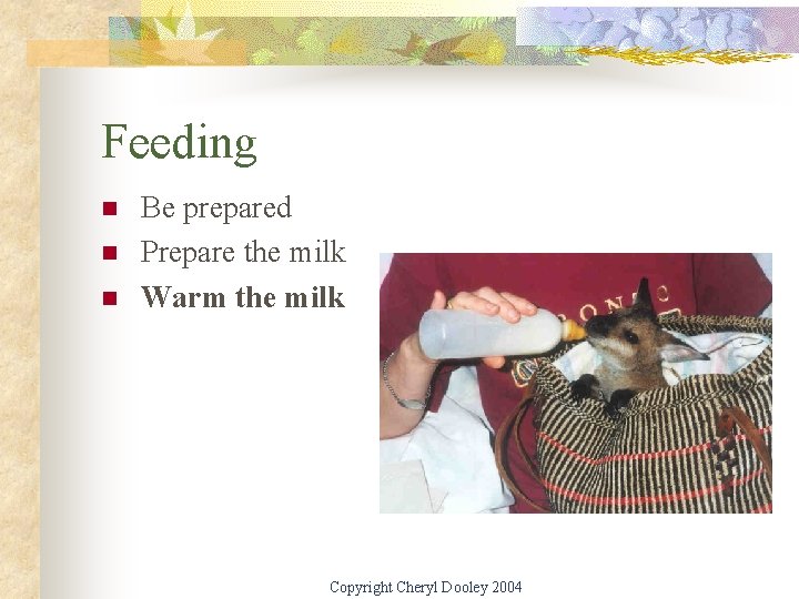 Feeding n n n Be prepared Prepare the milk Warm the milk Copyright Cheryl