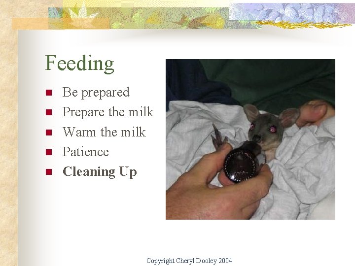 Feeding n n n Be prepared Prepare the milk Warm the milk Patience Cleaning