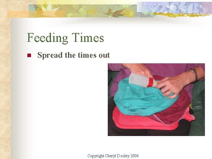 Feeding Times n Spread the times out Copyright Cheryl Dooley 2004 