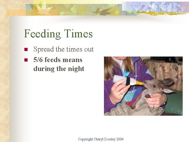 Feeding Times n n Spread the times out 5/6 feeds means during the night