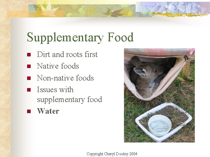 Supplementary Food n n n Dirt and roots first Native foods Non-native foods Issues