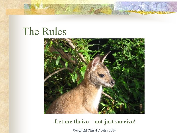 The Rules Let me thrive – not just survive! Copyright Cheryl Dooley 2004 