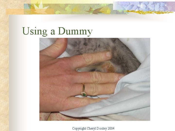 Using a Dummy Copyright Cheryl Dooley 2004 