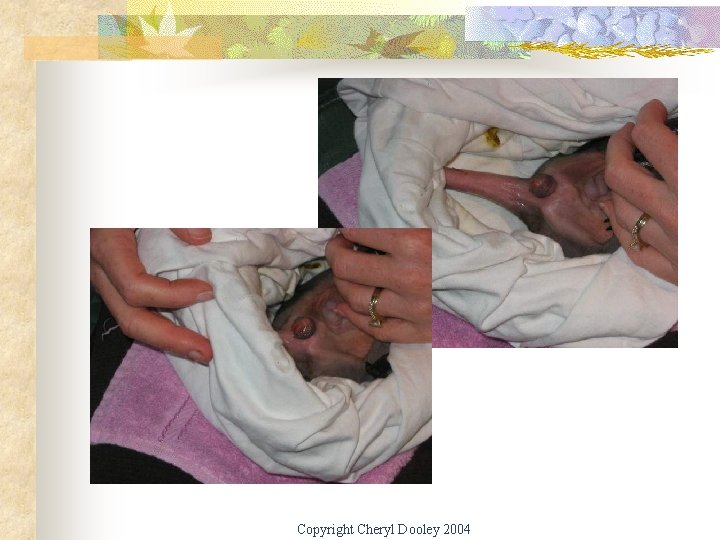 Copyright Cheryl Dooley 2004 