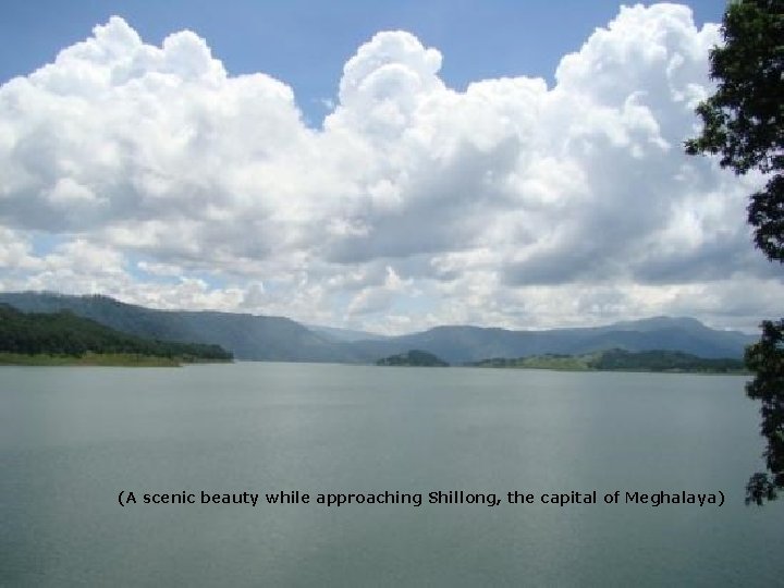 (A scenic beauty while approaching Shillong, the capital of Meghalaya) 9/26/2020 30 (A scenic beauty while approaching Shillong, the capital of Meghalaya) 9/26/2020 30