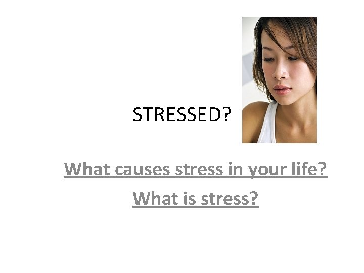 STRESSED? What causes stress in your life? What is stress? 