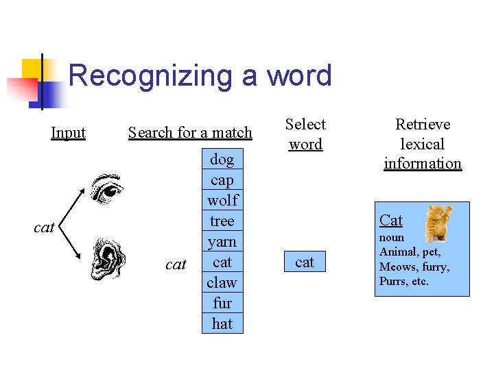 Recognizing a word Input Search for a match cat dog cap wolf tree yarn