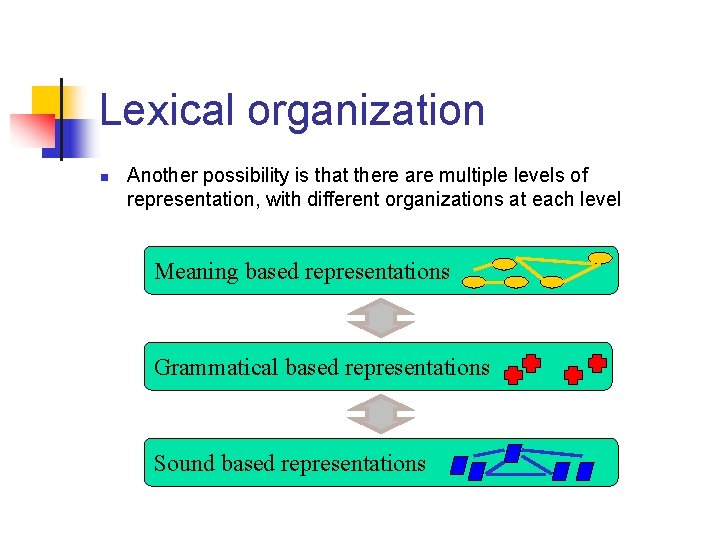 Lexical organization n Another possibility is that there are multiple levels of representation, with